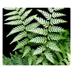 Fern Plant Leaf Green Botany Double Sided Flano Blanket (small)  by Pakrebo