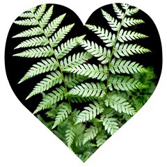 Fern Plant Leaf Green Botany Wooden Puzzle Heart by Pakrebo