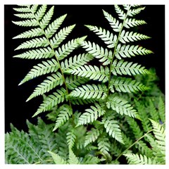 Fern Plant Leaf Green Botany Wooden Puzzle Square by Pakrebo