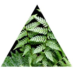 Fern Plant Leaf Green Botany Wooden Puzzle Triangle by Pakrebo