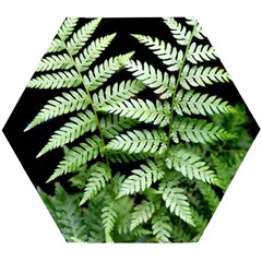 Fern Plant Leaf Green Botany Wooden Puzzle Hexagon by Pakrebo