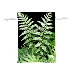 Fern Plant Leaf Green Botany Lightweight Drawstring Pouch (l)