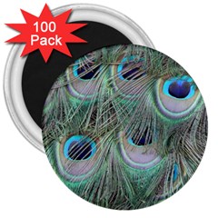 Peacock Feather Pattern Plumage 3  Magnets (100 Pack) by Pakrebo