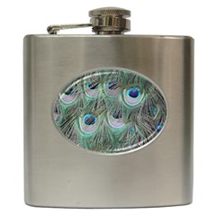 Peacock Feather Pattern Plumage Hip Flask (6 Oz) by Pakrebo