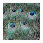 Peacock Feather Pattern Plumage Medium Glasses Cloth (2 Sides) Front