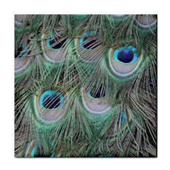 Peacock Feather Pattern Plumage Face Towel by Pakrebo