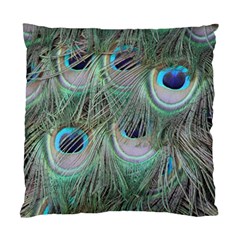 Peacock Feather Pattern Plumage Standard Cushion Case (two Sides) by Pakrebo