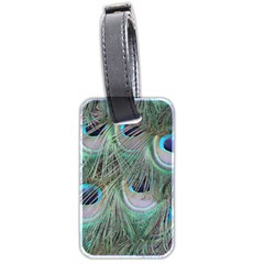 Peacock Feather Pattern Plumage Luggage Tag (two Sides) by Pakrebo