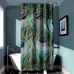 Peacock Feather Pattern Plumage Shower Curtain 36  X 72  (stall)  by Pakrebo