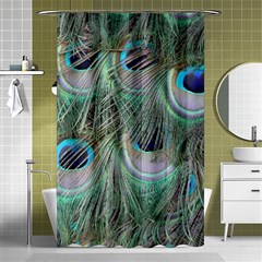 Peacock Feather Pattern Plumage Shower Curtain 48  X 72  (small)  by Pakrebo