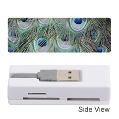 Peacock Feather Pattern Plumage Memory Card Reader (stick) by Pakrebo