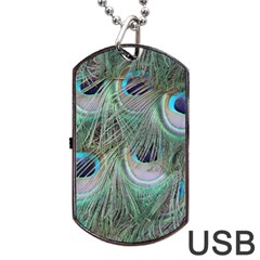 Peacock Feather Pattern Plumage Dog Tag Usb Flash (one Side) by Pakrebo