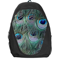 Peacock Feather Pattern Plumage Backpack Bag by Pakrebo