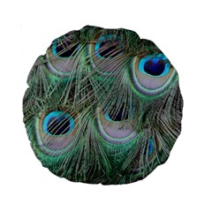 Peacock Feather Pattern Plumage Standard 15  Premium Round Cushions by Pakrebo