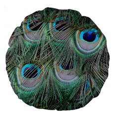 Peacock Feather Pattern Plumage Large 18  Premium Round Cushions by Pakrebo