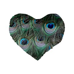 Peacock Feather Pattern Plumage Standard 16  Premium Heart Shape Cushions by Pakrebo