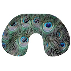 Peacock Feather Pattern Plumage Travel Neck Pillow by Pakrebo