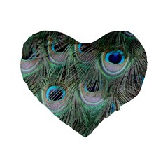 Peacock Feather Pattern Plumage Standard 16  Premium Flano Heart Shape Cushions by Pakrebo