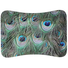 Peacock Feather Pattern Plumage Velour Seat Head Rest Cushion by Pakrebo