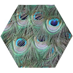 Peacock Feather Pattern Plumage Wooden Puzzle Hexagon by Pakrebo