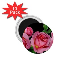 Roses Flowers Arrangement Garden 1 75  Magnets (10 Pack)  by Pakrebo