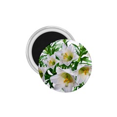 Lilies Flowers Perfume Arrangement 1 75  Magnets by Pakrebo