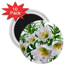 Lilies Flowers Perfume Arrangement 2 25  Magnets (10 Pack)  by Pakrebo