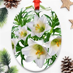 Lilies Flowers Perfume Arrangement Oval Ornament (two Sides) by Pakrebo