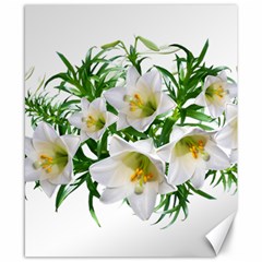 Lilies Flowers Perfume Arrangement Canvas 8  X 10  by Pakrebo