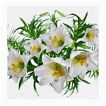 Lilies Flowers Perfume Arrangement Medium Glasses Cloth Front