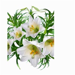 Lilies Flowers Perfume Arrangement Small Garden Flag (two Sides) by Pakrebo