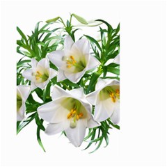 Lilies Flowers Perfume Arrangement Large Garden Flag (two Sides) by Pakrebo