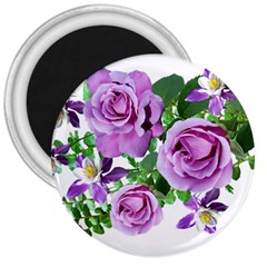 Flowers Roses Aquilegias Ferns 3  Magnets by Pakrebo