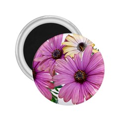 Flowers Daisies Arrangement Garden 2 25  Magnets by Pakrebo