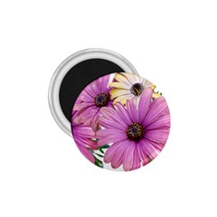 Flowers Daisies Arrangement Garden 1 75  Magnets by Pakrebo