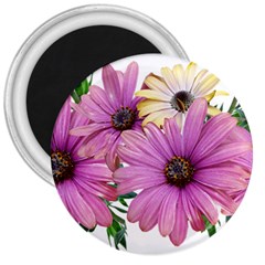 Flowers Daisies Arrangement Garden 3  Magnets by Pakrebo