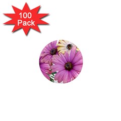 Flowers Daisies Arrangement Garden 1  Mini Magnets (100 Pack)  by Pakrebo