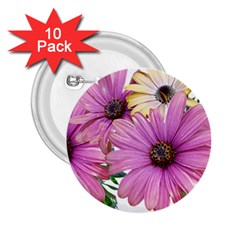 Flowers Daisies Arrangement Garden 2 25  Buttons (10 Pack)  by Pakrebo