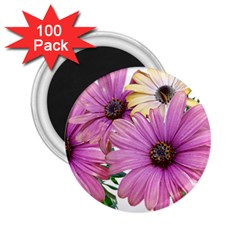 Flowers Daisies Arrangement Garden 2 25  Magnets (100 Pack)  by Pakrebo