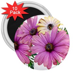 Flowers Daisies Arrangement Garden 3  Magnets (10 Pack)  by Pakrebo