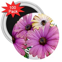 Flowers Daisies Arrangement Garden 3  Magnets (100 Pack) by Pakrebo