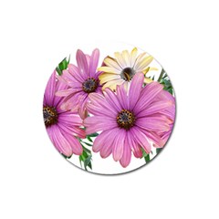 Flowers Daisies Arrangement Garden Magnet 3  (round) by Pakrebo