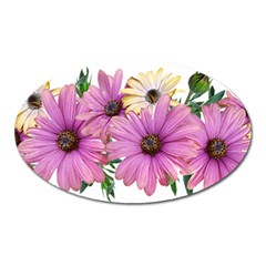 Flowers Daisies Arrangement Garden Oval Magnet by Pakrebo