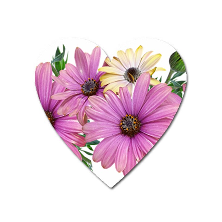 Flowers Daisies Arrangement Garden Heart Magnet