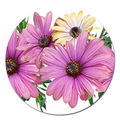 Flowers Daisies Arrangement Garden Magnet 5  (round) by Pakrebo