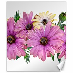 Flowers Daisies Arrangement Garden Canvas 8  X 10  by Pakrebo