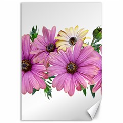 Flowers Daisies Arrangement Garden Canvas 12  X 18  by Pakrebo