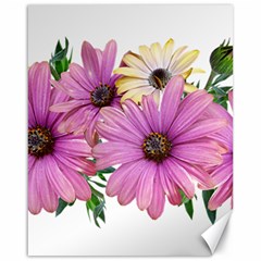 Flowers Daisies Arrangement Garden Canvas 16  X 20 