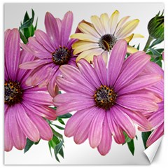 Flowers Daisies Arrangement Garden Canvas 20  X 20  by Pakrebo