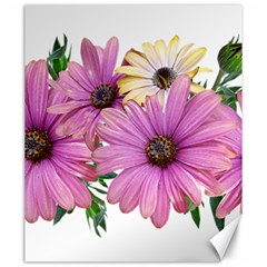 Flowers Daisies Arrangement Garden Canvas 20  X 24  by Pakrebo